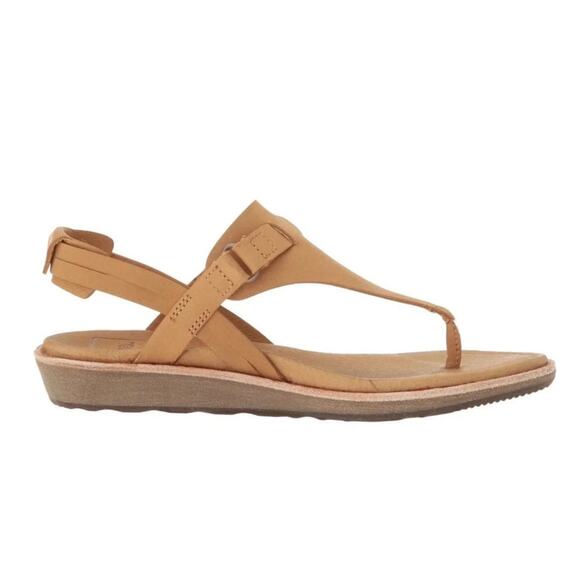 Teva Women's Encanta Thong Sandal - Picture 1 of 8